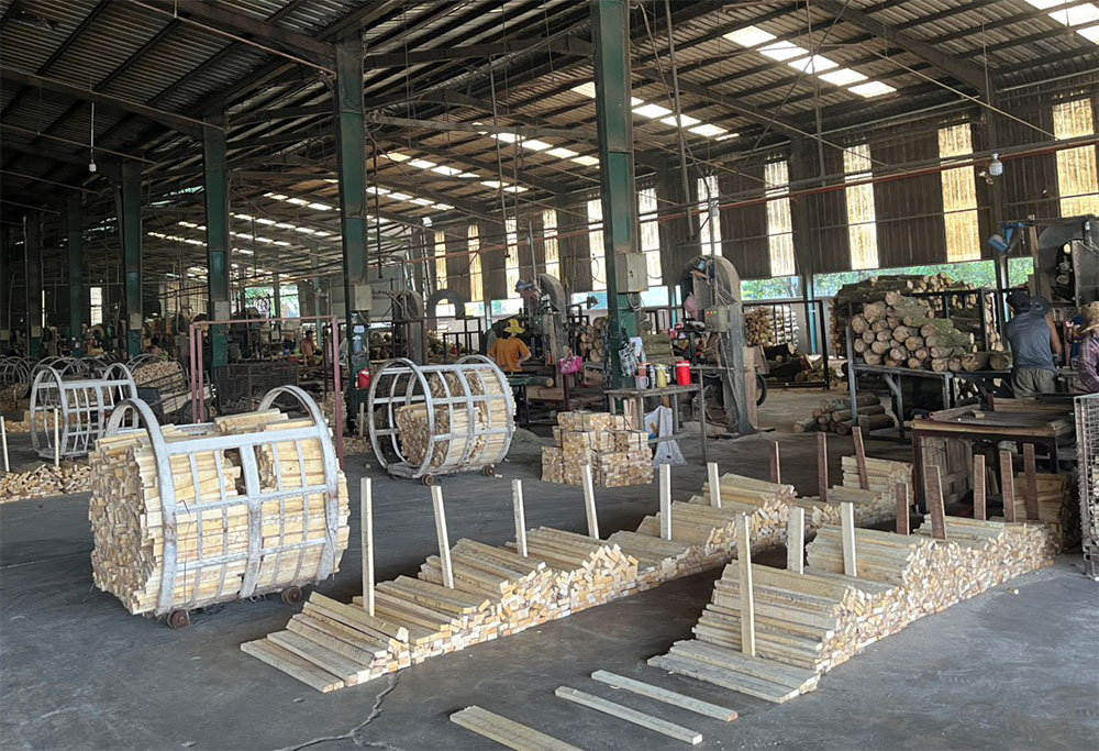 Quá trình sử lý gỗ cao su tại nhà máy