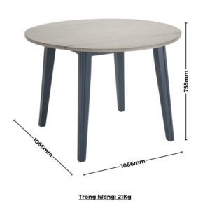 Bộ bàn ăn tròn gấp gọn 2 bên (4 ghế) BBT02 màu xám - xanh graphite
